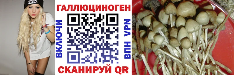 магазин продажи наркотиков  Западная Двина  Псилоцибиновые грибы Psilocybine cubensis 